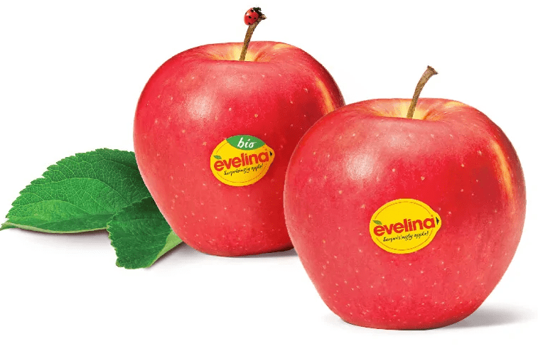 Fresh Imported Organic Green Apples - 500g